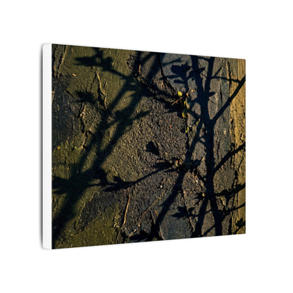 Kanso Shadow Play Canvas Art - Dark Japandi Dark Texture