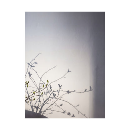 Japandi Shadow Play in Dawn | Japanese Pattern Wall Art Print