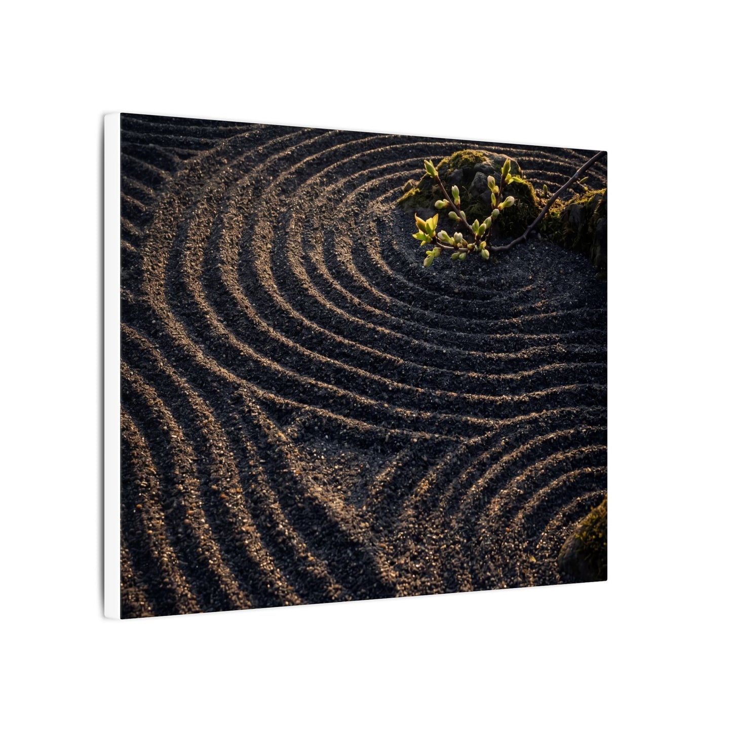 Spring Rock Garden Shadow Zen Canvas Art | Atmospheric Decor