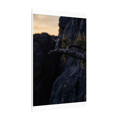 Pine Tree Moody Minimal Canvas Art | Sophisticated Dark Japandi Art