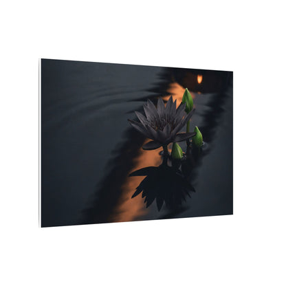 Seijaku Lotus Flower Canvas Art - Dark Japandi Shadow Zen
