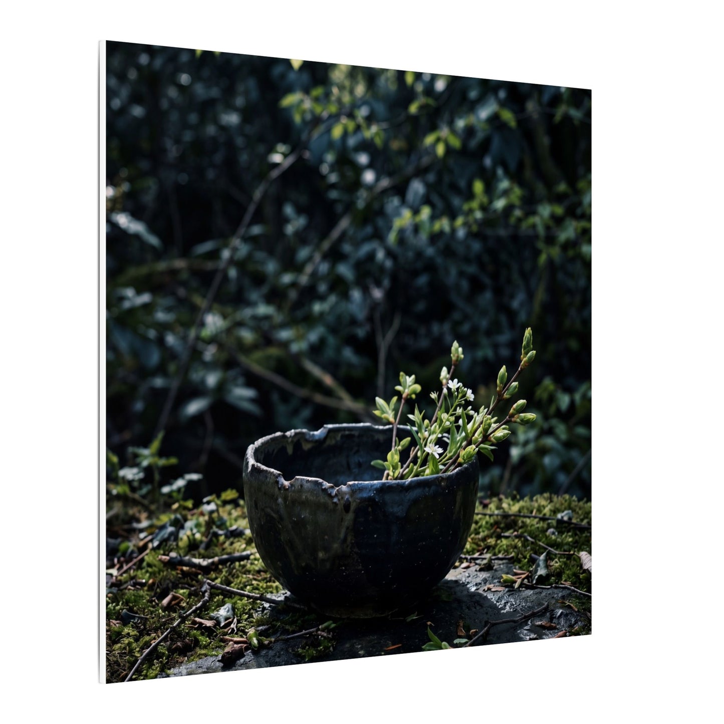 Dappled Ceramic Bowl Canvas Art - Dark Japandi Datsuzoku