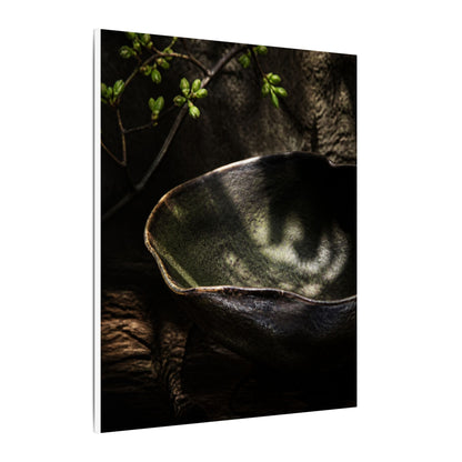 Sophisticated Ceramic Bowl Canvas Art - Dark Texture Dark Japandi