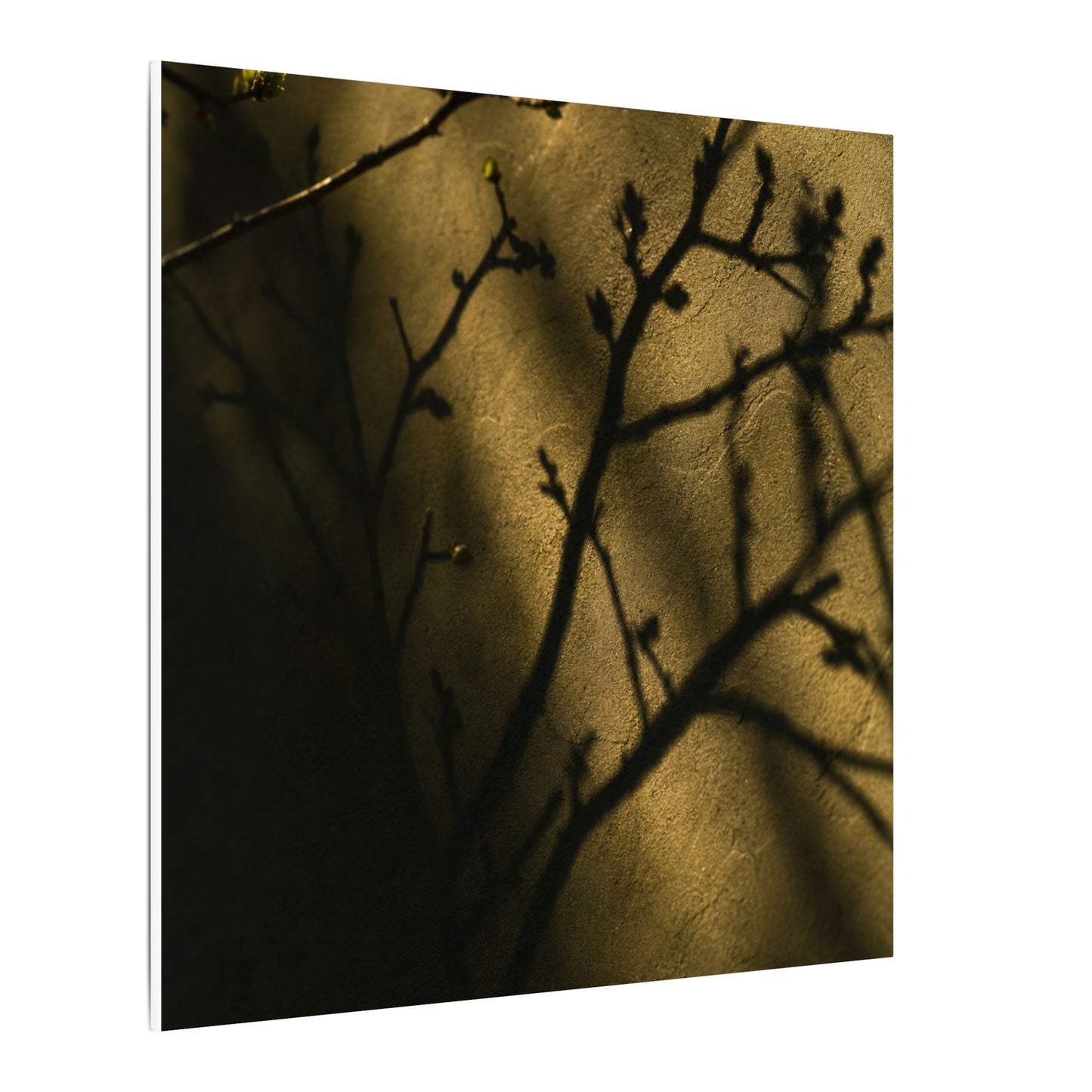 Golden Hour Shadow Play Canvas Art - Dark Japandi Seijaku