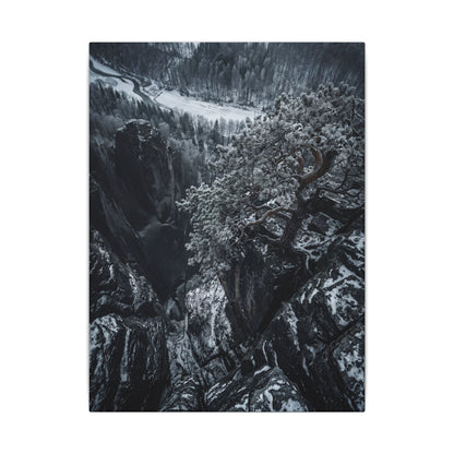 Dark Japandi Pine Tree in Dappled | Dark Texture Canvas Art Art Print