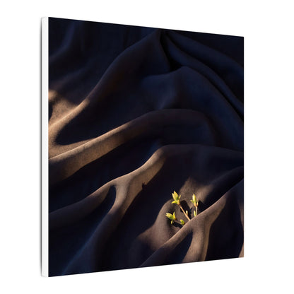 Silk Drape Shadow Zen Canvas Art | Luxurious Dark Japandi Art