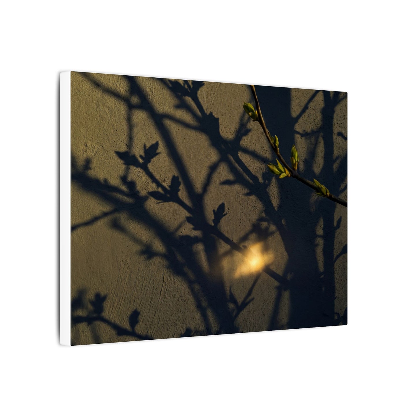Bold Shadow Play Canvas Art - Moody Minimal Dark Japandi