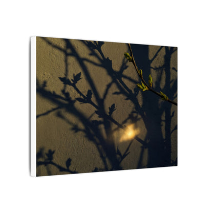 Bold Shadow Play Canvas Art - Moody Minimal Dark Japandi