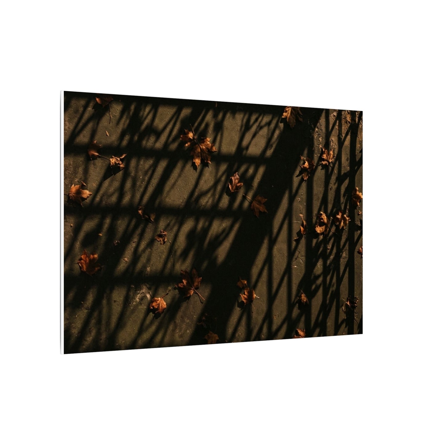 Dark Japandi Shadow Play in Golden Hour | Moody Minimal Canvas Art