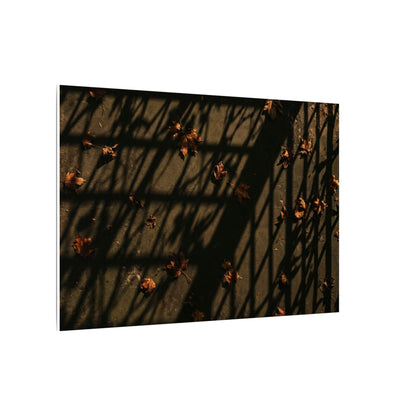 Dark Japandi Shadow Play in Golden Hour | Moody Minimal Canvas Art