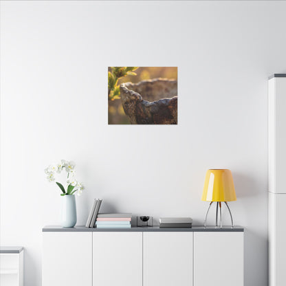 Golden Hour Ceramic Bowl Canvas Art - Dark Japandi Ma