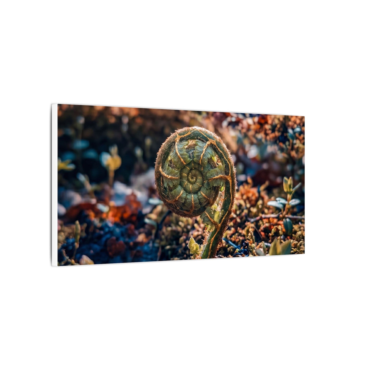 Kintsugi Fern Unfurling in Dappled | Gold Vein Canvas Art