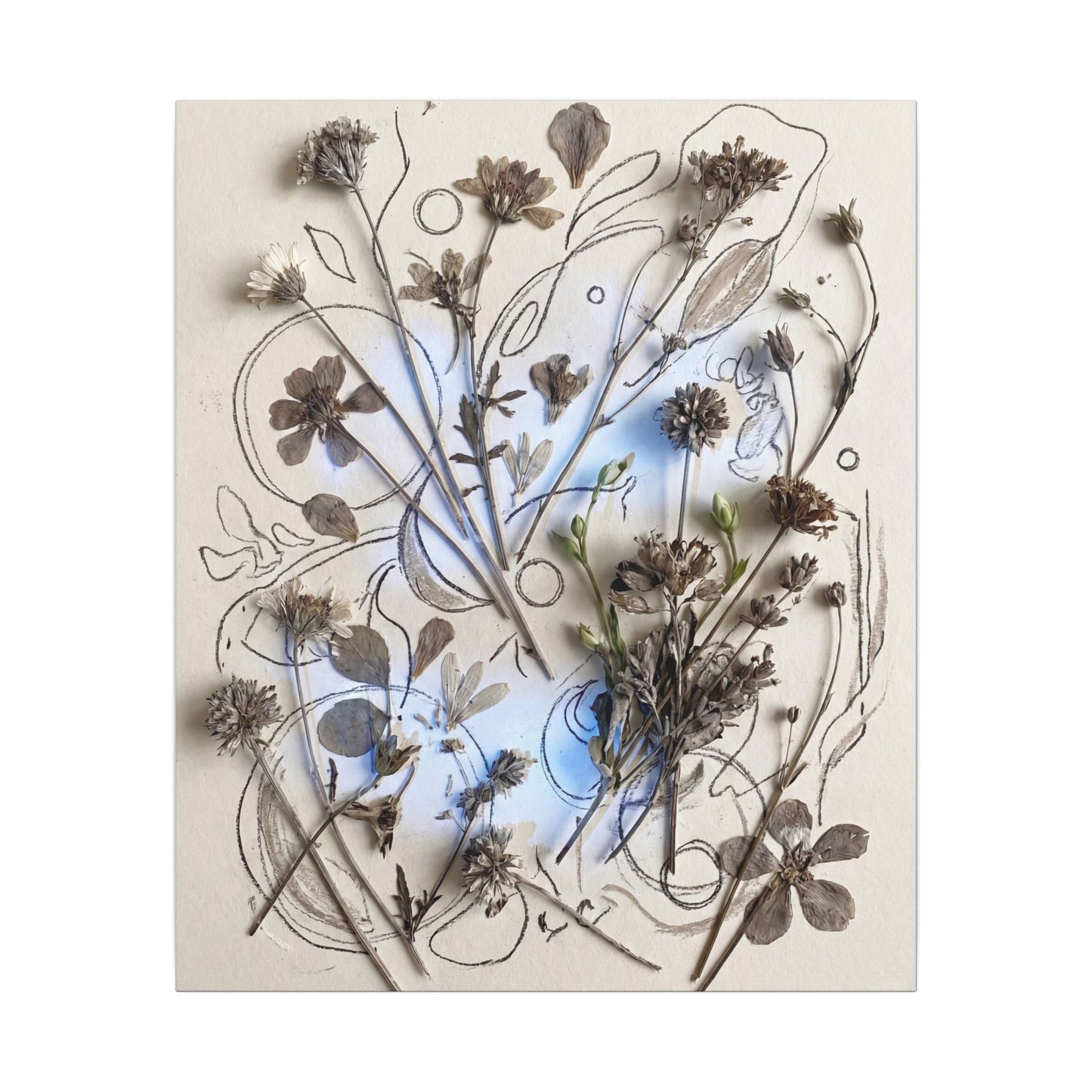 Dried Flowers Minimal Line Canvas Art | Elegant Japandi Art