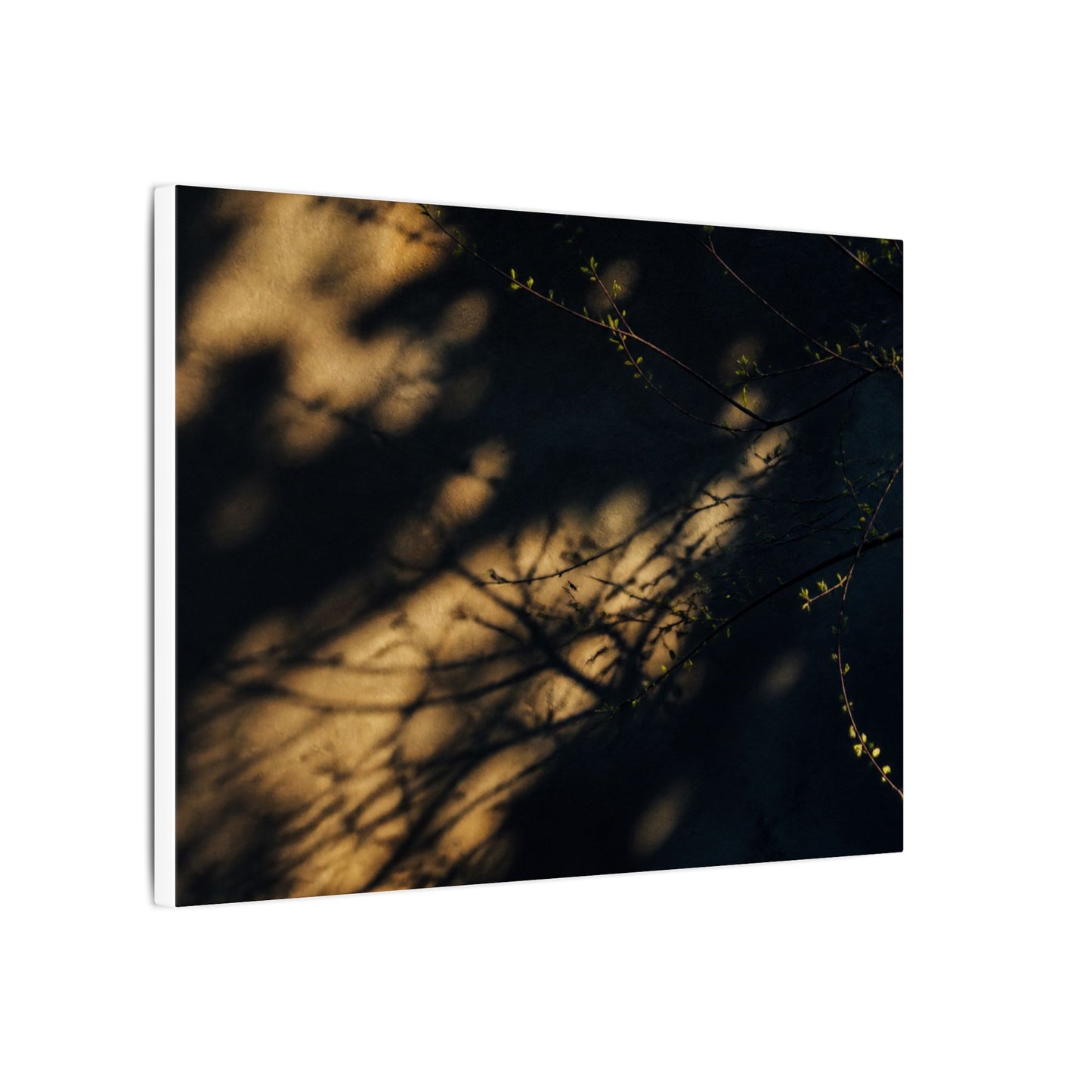 Moody Shadow Play Canvas Art - Moody Minimal Dark Japandi