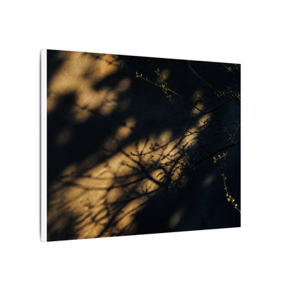 Moody Shadow Play Canvas Art - Moody Minimal Dark Japandi