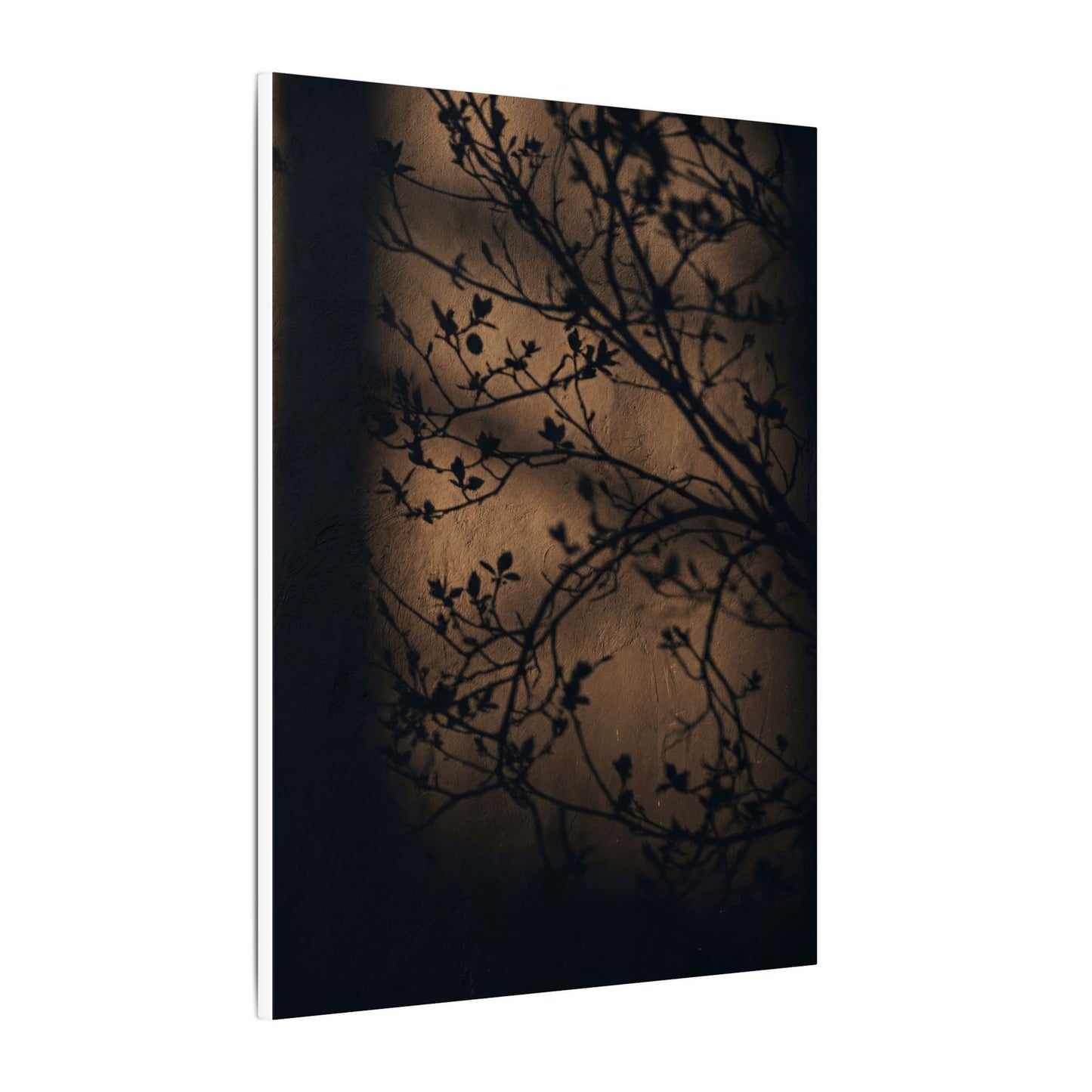 Dark Japandi Shadow Play in Golden Hour | Shadow Zen Canvas Art