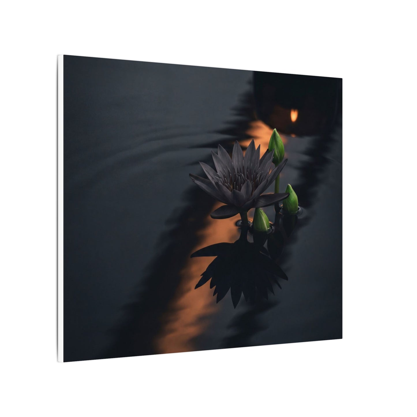 Seijaku Lotus Flower Canvas Art - Dark Japandi Shadow Zen