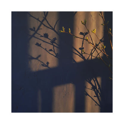 Shadow Play Canvas Art | Spring Dark Japandi Shadow Zen Art