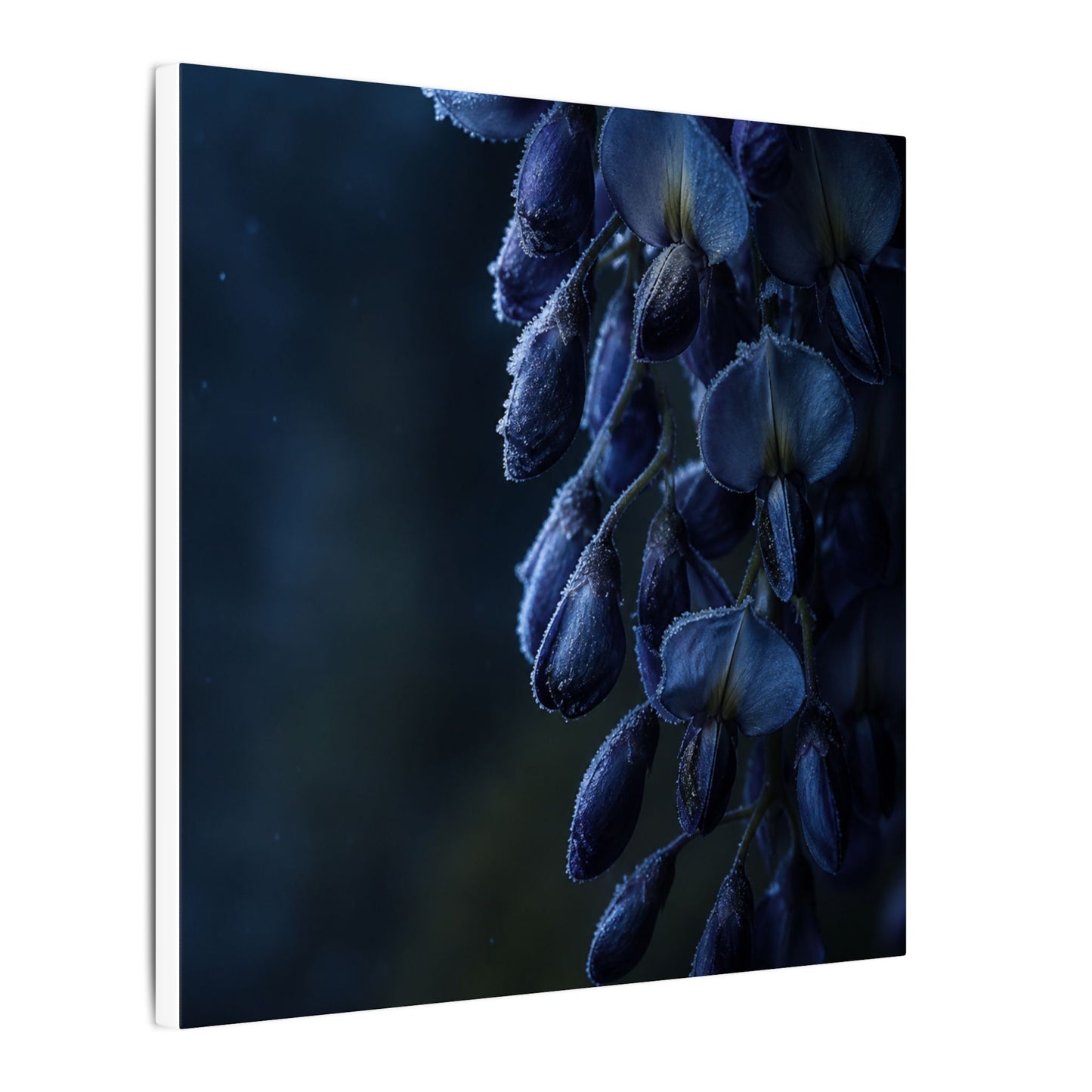 Winter Wisteria Shadow Zen Canvas Art | Atmospheric Decor