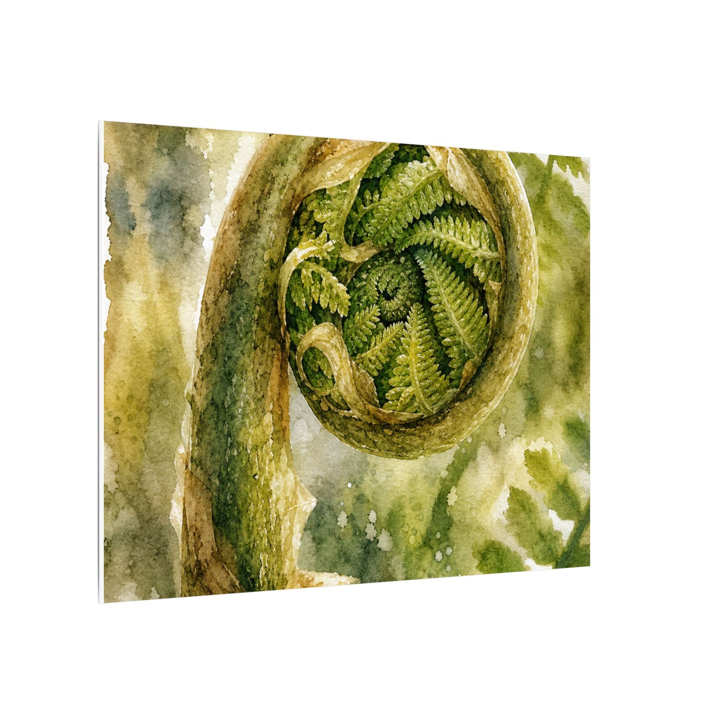 Japandi Fern Unfurling in Dappled | Watercolor Canvas Art