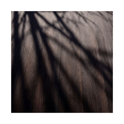 Ma Shadow Play Wall Art Print - Dark Japandi Moody Minimal