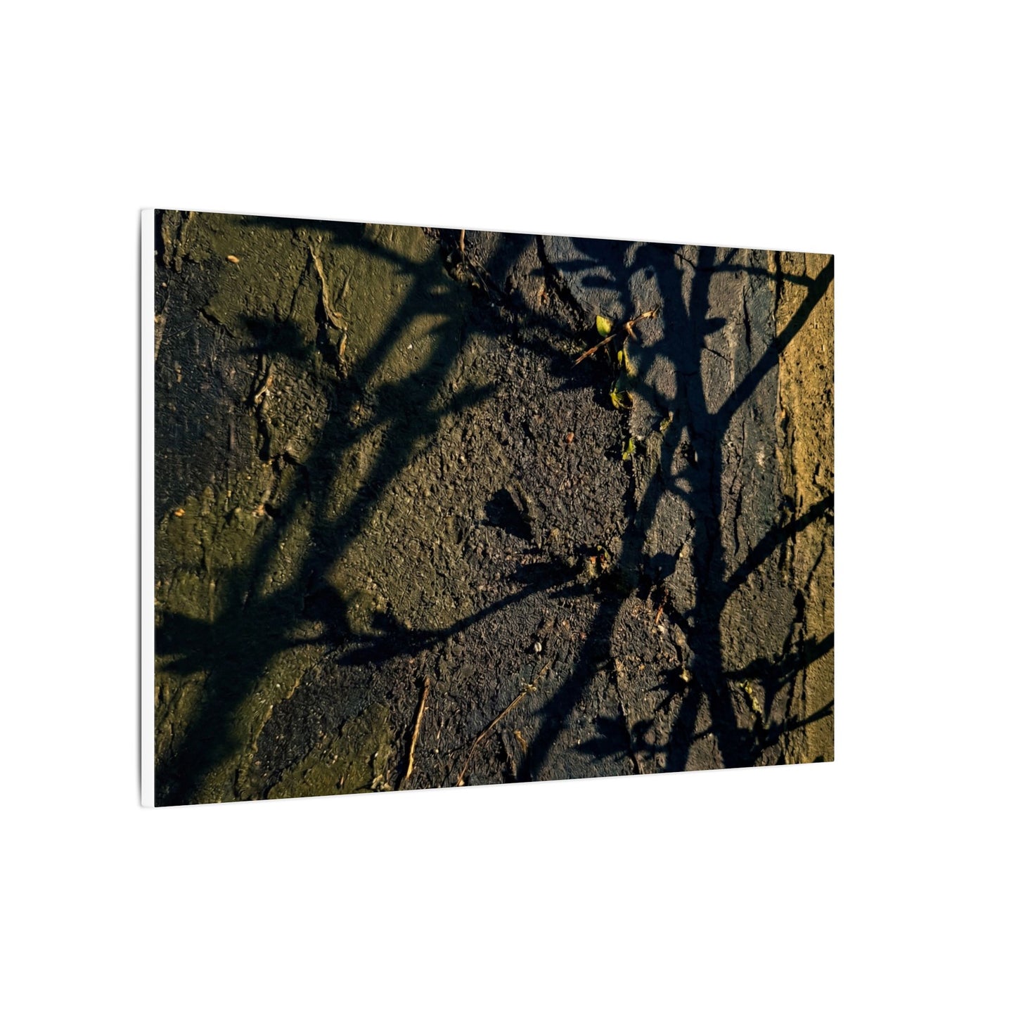 Kanso Shadow Play Canvas Art - Dark Japandi Dark Texture