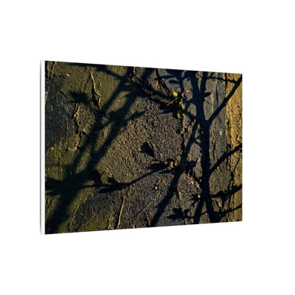 Kanso Shadow Play Canvas Art - Dark Japandi Dark Texture