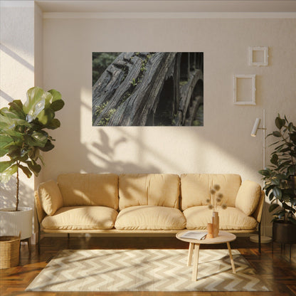 Overcast Wooden Bridge Canvas Art - Japandi Kanso