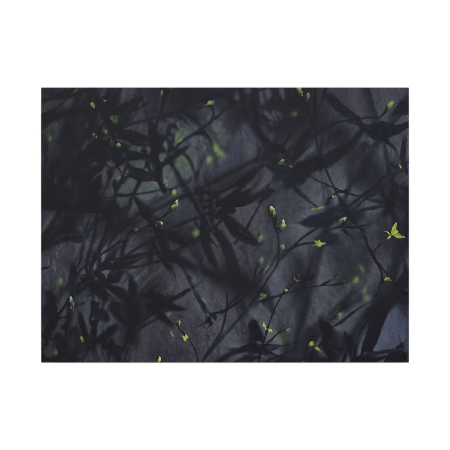 Shadow Play Spring Canvas Art | Dark Japandi Atmospheric Design