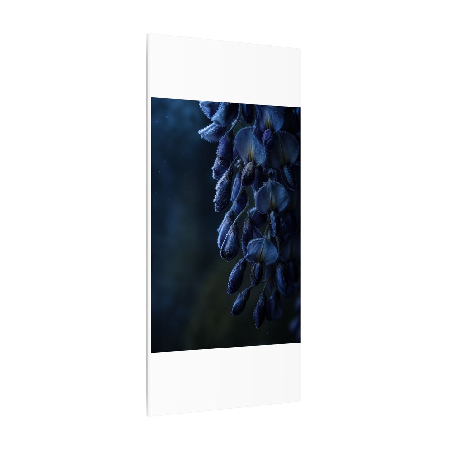 Winter Wisteria Shadow Zen Canvas Art | Atmospheric Decor