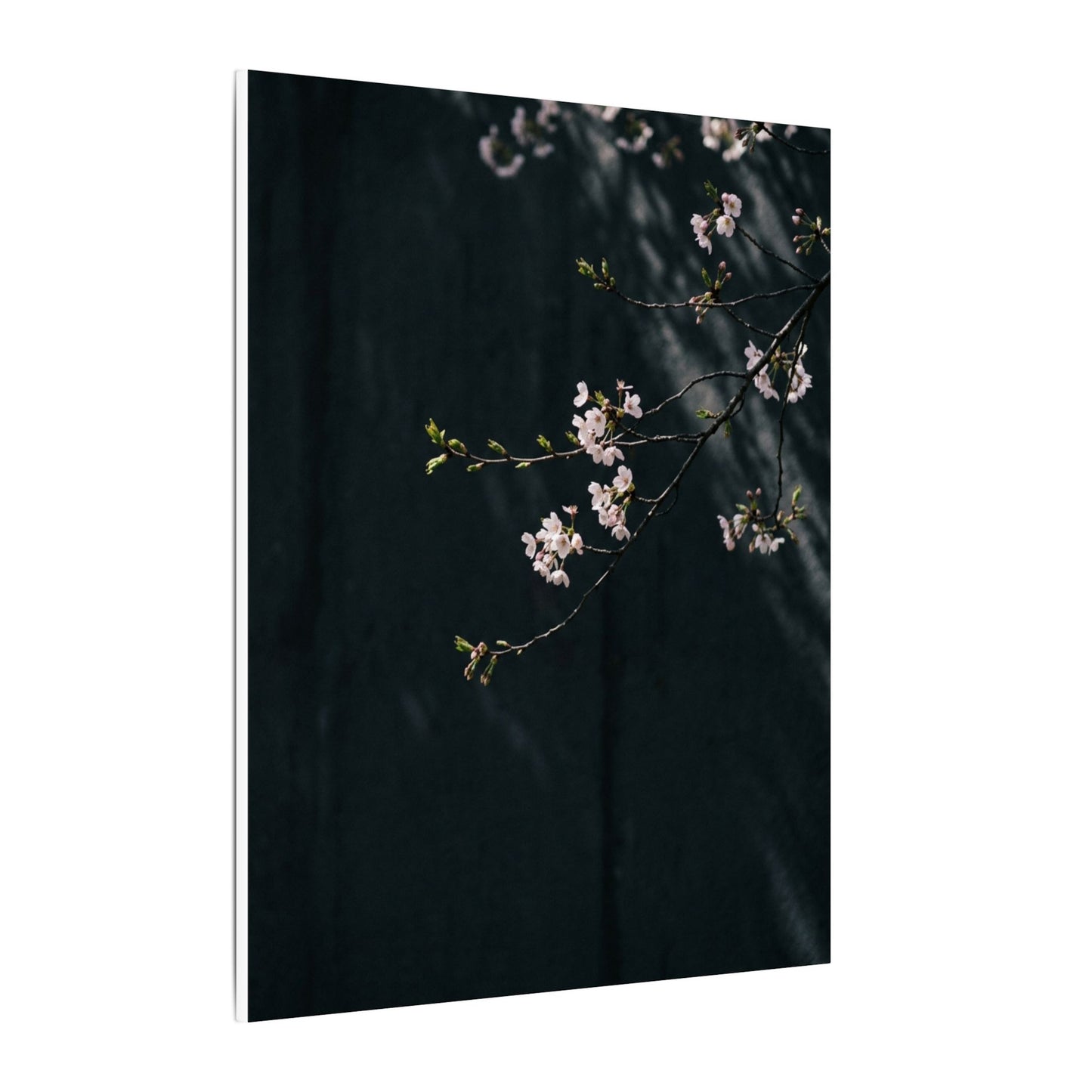 Cherry Blossom Spring Canvas Art | Dark Japandi Sophisticated Design