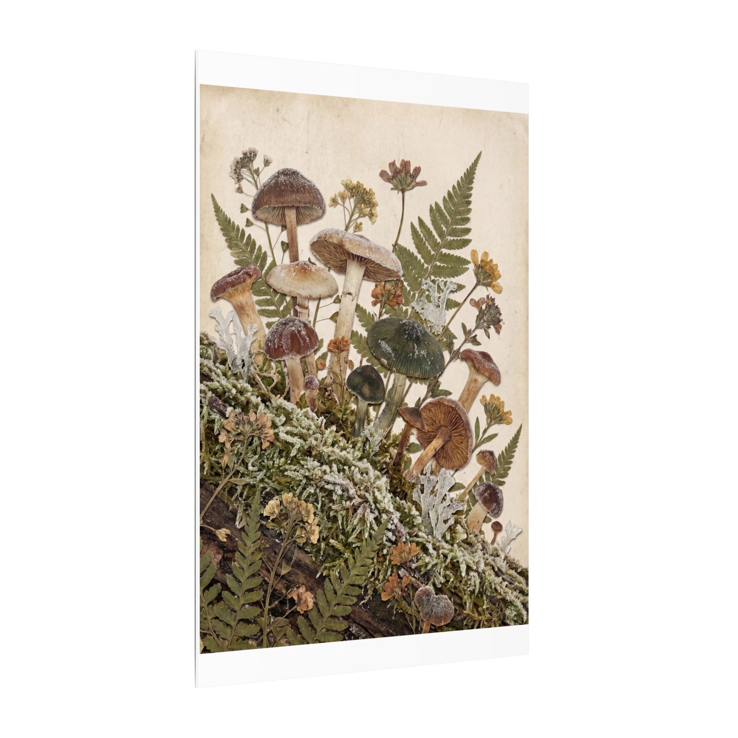 Winter Wild Mushrooms Herbarium Canvas Art | Enchanting Decor