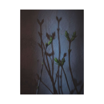 Shadow Play Spring Canvas Art | Dark Japandi Sophisticated Design