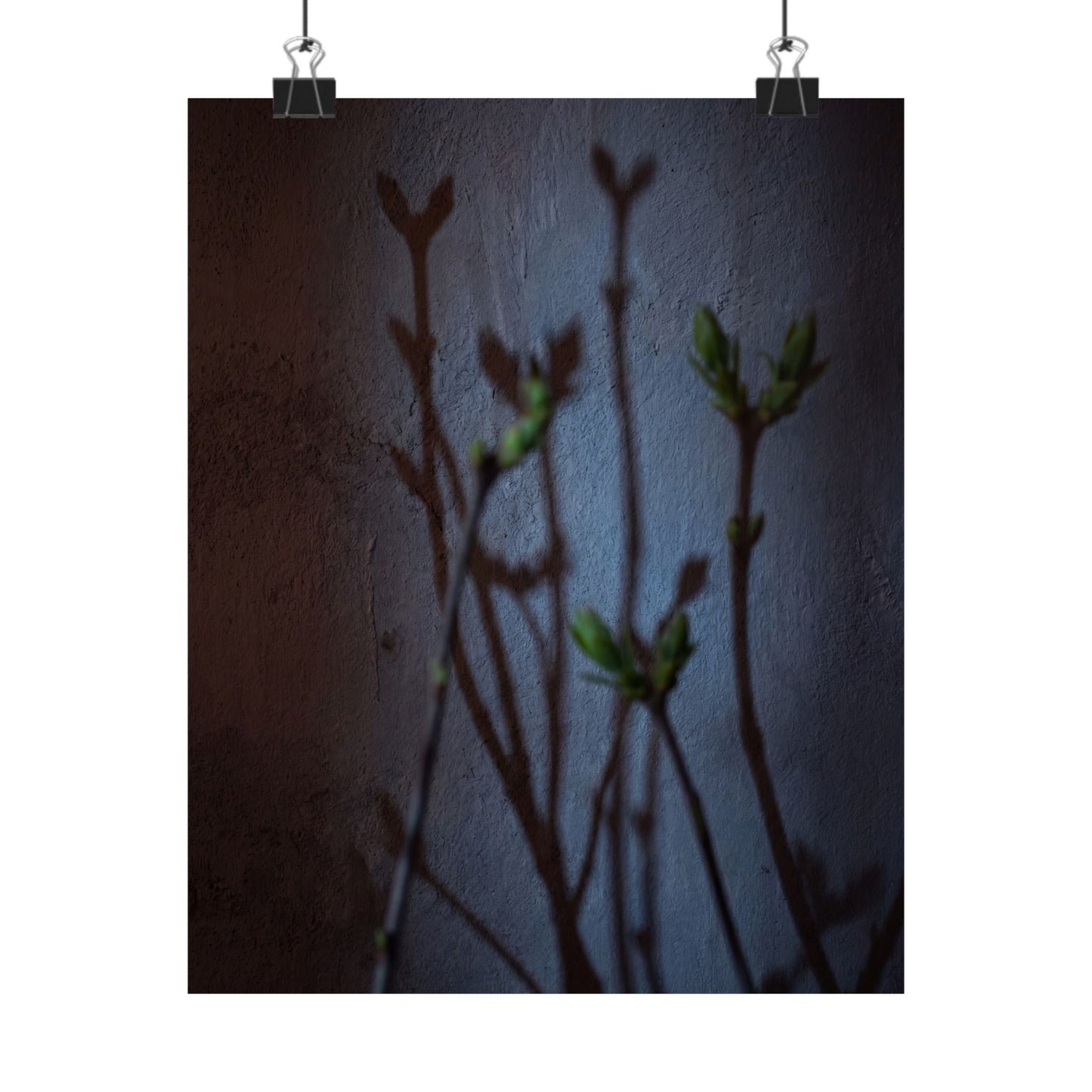 Spring Shadow Play Shadow Zen Wall Art Print | Moody Decor
