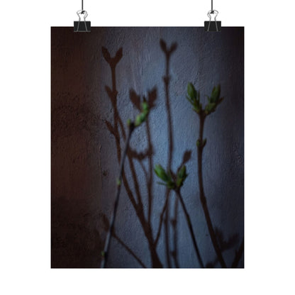 Spring Shadow Play Shadow Zen Wall Art Print | Moody Decor