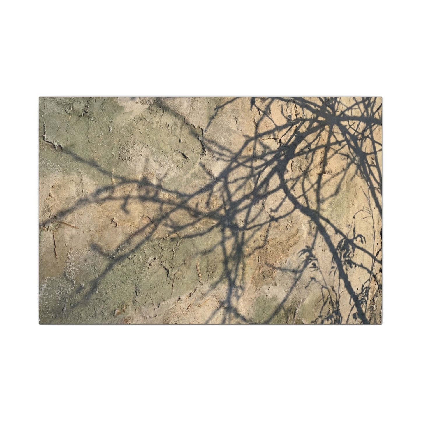 Japandi Shadow Play in Golden Hour | Texture Canvas Art
