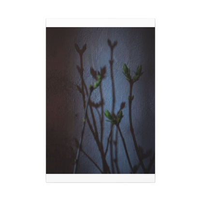 Shadow Play Spring Canvas Art | Dark Japandi Sophisticated Design