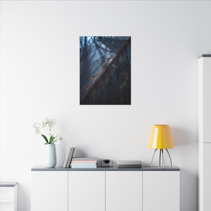 Rust Patina Canvas Art | Spring Dark Japandi Shadow Zen Art