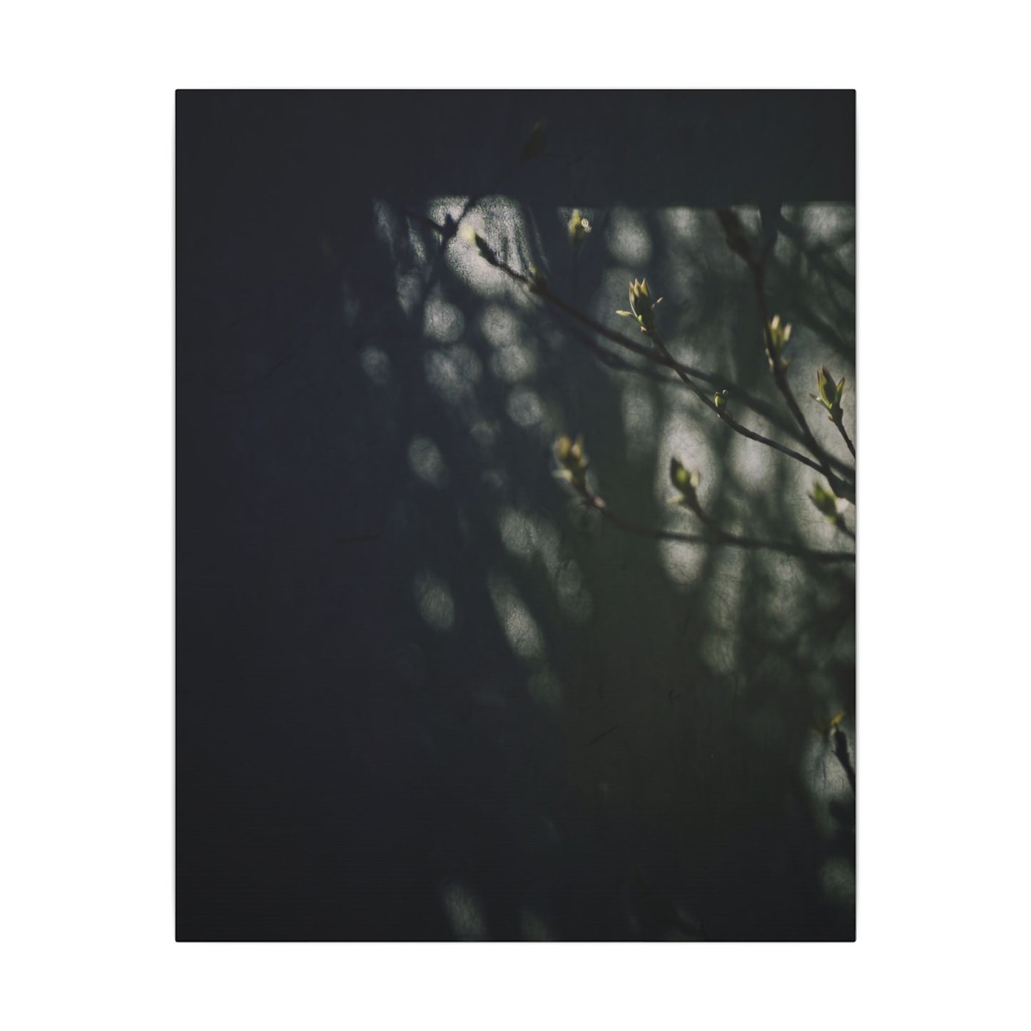 Dark Japandi Shoji Screen in Dappled | Moody Minimal Canvas Art