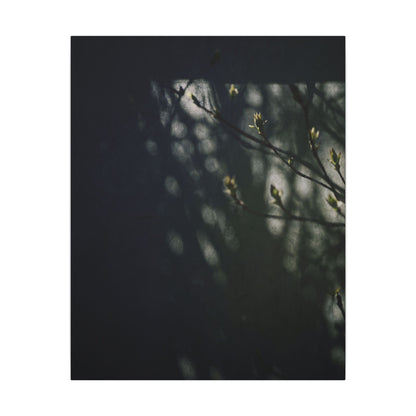 Dark Japandi Shoji Screen in Dappled | Moody Minimal Canvas Art