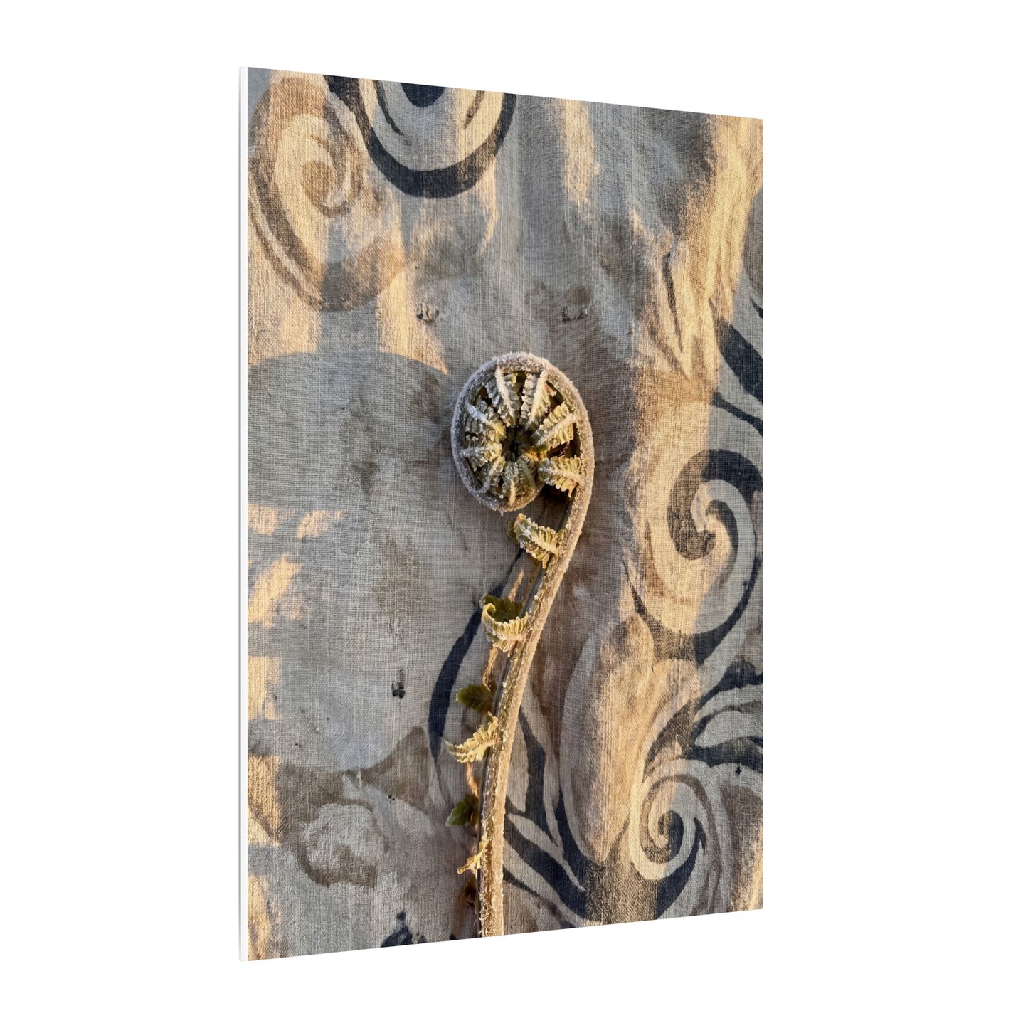 Fern Unfurling Canvas Art | Winter Japandi Japanese Pattern Art