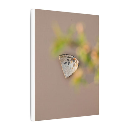 Ceramic Bowl Canvas Art | Spring Japandi Japanese Pattern Art