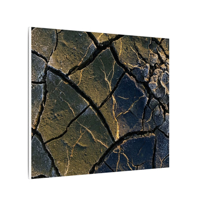 Winter Cracked Earth Moody Minimal Canvas Art | Atmospheric Decor