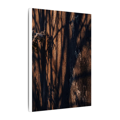 Golden Hour Shadow Play Canvas Art - Dark Japandi Fukinsei