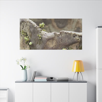 Overcast Ceramic Bowl Canvas Art - Japandi Fukinsei