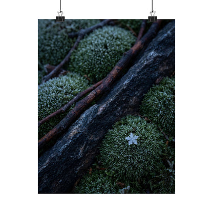 Moss Close Up Moody Minimal Wall Art Print | Moody Dark Japandi Art Art Print