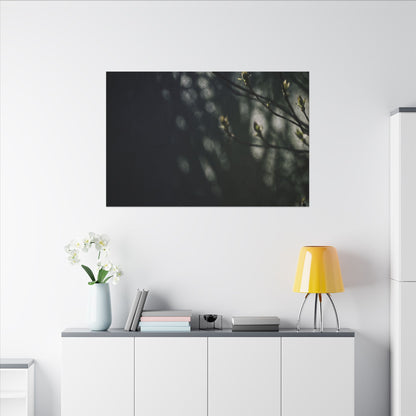 Dark Japandi Shoji Screen in Dappled | Moody Minimal Canvas Art