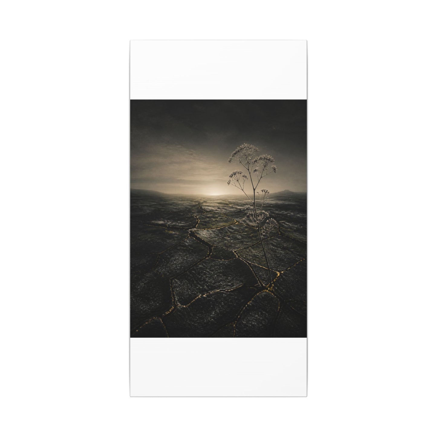Dawn Cracked Earth Canvas Art - Dark Japandi Mono No Aware