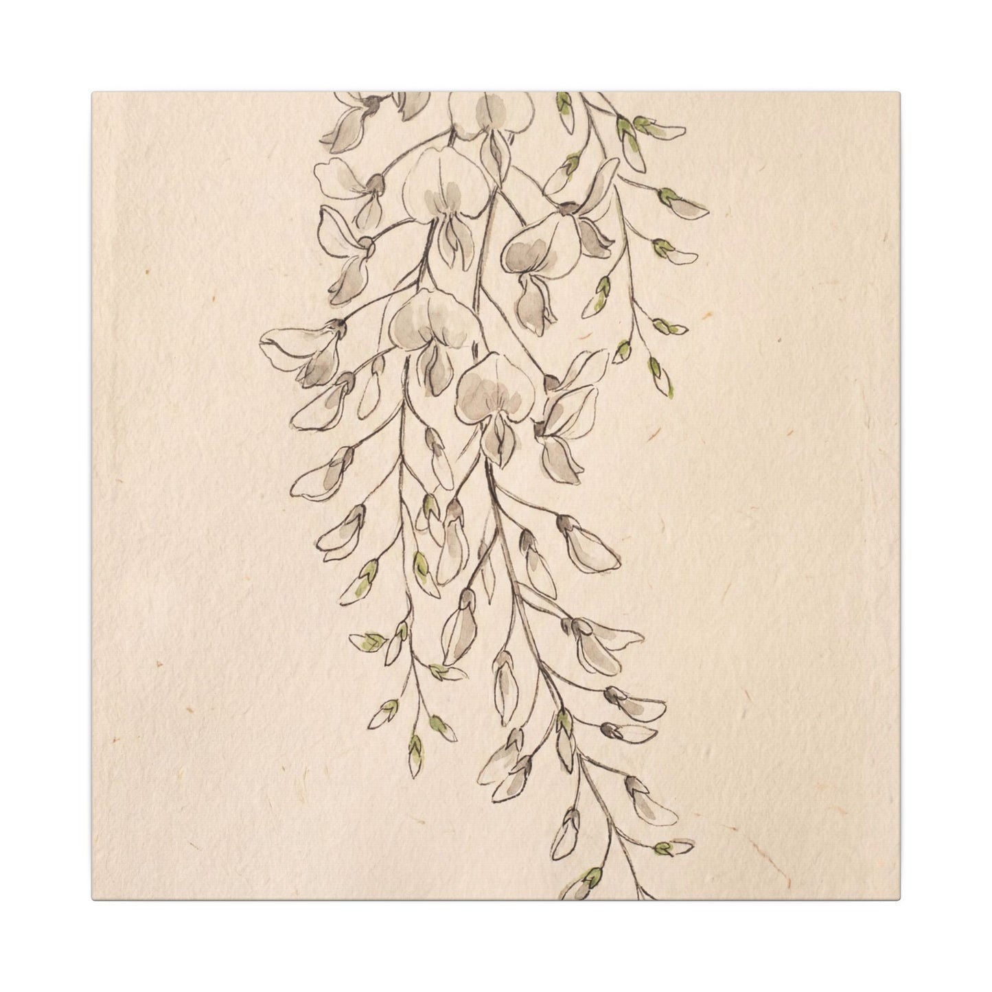 Japandi Wisteria in Golden Hour | Minimal Line Canvas Art