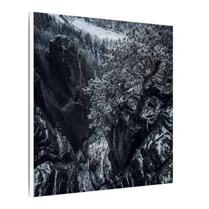 Dark Japandi Pine Tree in Dappled | Dark Texture Canvas Art